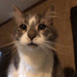 Meet your Posher, Earl